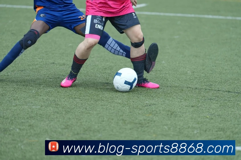 8868体育APP 封面图